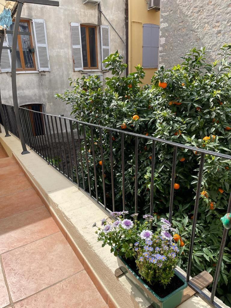 Appartements Climatises - Vieil Antibes Exterior foto